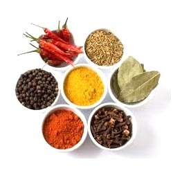 Manufacturers Exporters and Wholesale Suppliers of Spices KOLKATA West Bengal