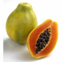 Manufacturers Exporters and Wholesale Suppliers of Papaya Pune Maharashtra
