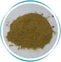 Manufacturers Exporters and Wholesale Suppliers of Coriander Kerala Kerala