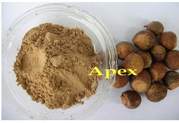 Manufacturers Exporters and Wholesale Suppliers of Soap Nuts Jaipur Rajasthan