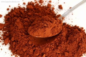 Manufacturers Exporters and Wholesale Suppliers of Cocoa powder Mojokerto Other