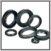 Manufacturers Exporters and Wholesale Suppliers of oil seals Kashmere Gate Delhi