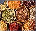 Manufacturers Exporters and Wholesale Suppliers of pulses Nasr city 
