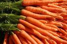 Manufacturers Exporters and Wholesale Suppliers of Carrot Pratumtani 