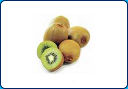 Manufacturers Exporters and Wholesale Suppliers of Kiwi Fruits Holland Avenue 