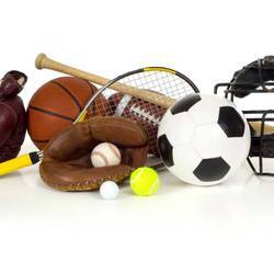 Manufacturers Exporters and Wholesale Suppliers of Sports Items Faridabad Haryana