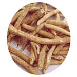 Manufacturers Exporters and Wholesale Suppliers of Asgandh(Ashwagandha) hyderabad Andhra Pradesh