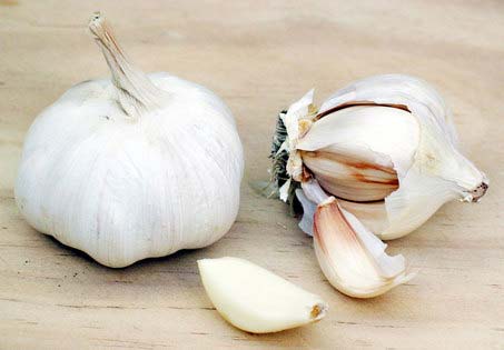 Manufacturers Exporters and Wholesale Suppliers of Garlic Manasa Madhya Pradesh