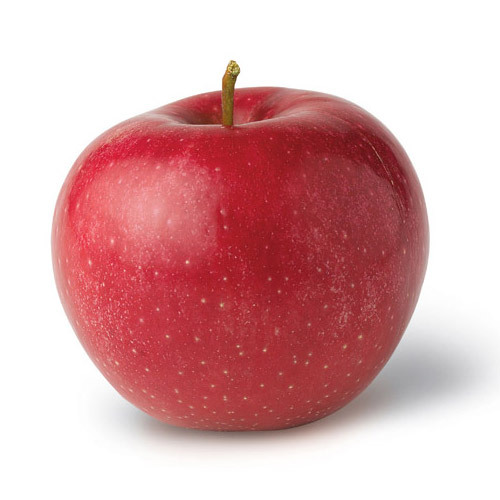 Manufacturers Exporters and Wholesale Suppliers of Fresh Apples Kolkata West Bengal