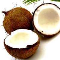 Manufacturers Exporters and Wholesale Suppliers of Coconut Melur Tamil Nadu