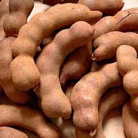 Manufacturers Exporters and Wholesale Suppliers of Tamarind Melur Tamil Nadu