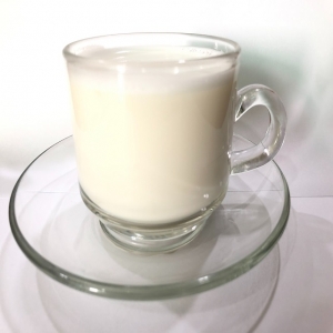Manufacturers Exporters and Wholesale Suppliers of Instant Coconut Milk Powder Drinks Bangkok 