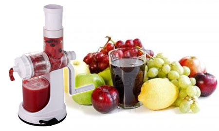 Manufacturers Exporters and Wholesale Suppliers of Fruit Juicer Delhi Delhi