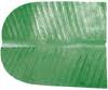 Manufacturers Exporters and Wholesale Suppliers of PAPER BANANA LEAF CHENNAI Tamil Nadu