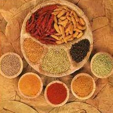 Manufacturers Exporters and Wholesale Suppliers of Spices penukonda Andhra Pradesh