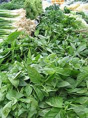 Manufacturers Exporters and Wholesale Suppliers of Herbs Indore Madhya Pradesh