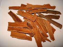 Manufacturers Exporters and Wholesale Suppliers of Cinnamon Navi Mumbai Maharashtra