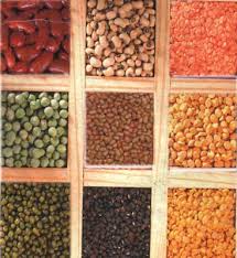 Manufacturers Exporters and Wholesale Suppliers of Pulses Nagpur Maharashtra