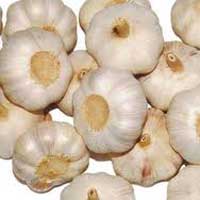 Manufacturers Exporters and Wholesale Suppliers of Garlic Nagpur Maharashtra