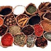 Manufacturers Exporters and Wholesale Suppliers of Spices Jaipur Rajasthan