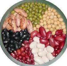Manufacturers Exporters and Wholesale Suppliers of Pulses CHENNAI Tamil Nadu