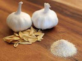 Manufacturers Exporters and Wholesale Suppliers of Garlic Powder Bhavnagar Gujarat