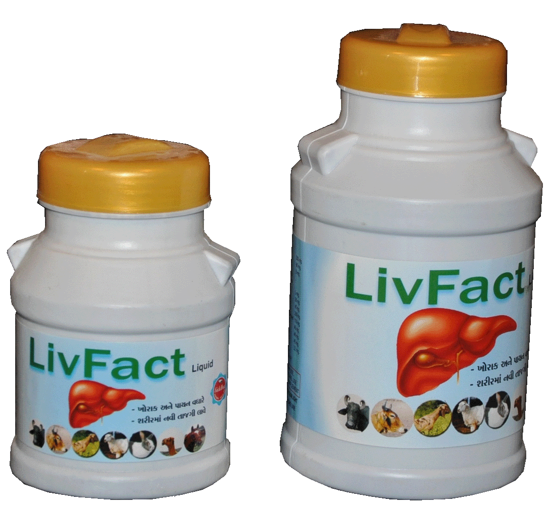 Manufacturers Exporters and Wholesale Suppliers of Liv Fact Liquid Patan Gujarat