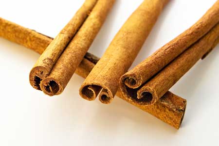 Manufacturers Exporters and Wholesale Suppliers of Cinnamon Sticks jaipur Rajasthan