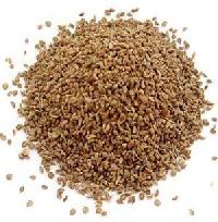 Manufacturers Exporters and Wholesale Suppliers of Ajwain Seeds Unjha Gujarat