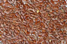 Manufacturers Exporters and Wholesale Suppliers of Seeds Pune Maharashtra