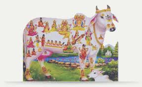 Manufacturers Exporters and Wholesale Suppliers of Pure Gomutra Visakhapatnam Andhra Pradesh