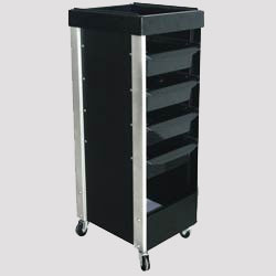 Manufacturers Exporters and Wholesale Suppliers of Beauty Salon Trolley Delhi Delhi