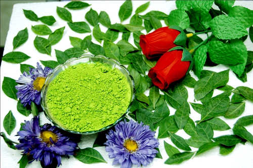 Manufacturers Exporters and Wholesale Suppliers of Herbal Henna Sojat Rajasthan