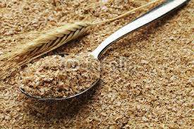Manufacturers Exporters and Wholesale Suppliers of ANIMAL FEED WHEAT Nagpur Maharashtra