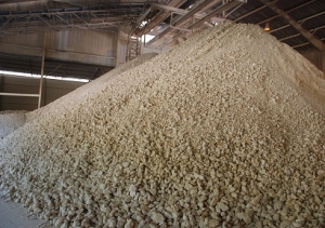 Manufacturers Exporters and Wholesale Suppliers of ATTAPULGITE LUMPS Kutch Gujarat