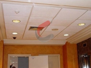 Service Provider of Acoustic Ceiling Bhubaneswar Orissa 