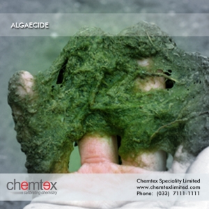 Manufacturers Exporters and Wholesale Suppliers of Algaecide Kolkata West Bengal