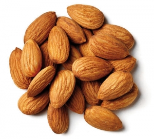 Manufacturers Exporters and Wholesale Suppliers of Almond Kernels Tiruvallur Tamil Nadu