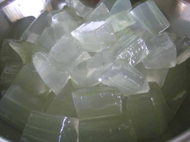 Manufacturers Exporters and Wholesale Suppliers of 2.Aloe Vera Pulp Jaisalmer Rajasthan
