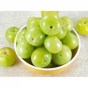 Manufacturers Exporters and Wholesale Suppliers of Amla Lucknow Uttar Pradesh