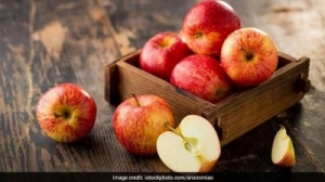 Manufacturers Exporters and Wholesale Suppliers of Apple Gondia Maharashtra