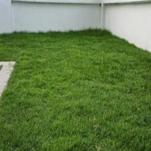 Manufacturers Exporters and Wholesale Suppliers of Artificial turf ( Grass ) Mumbai Maharashtra