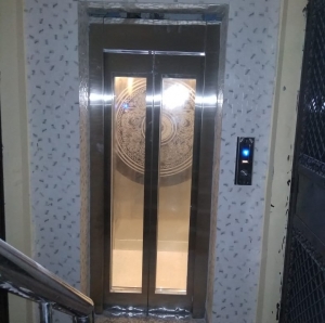 Manufacturers Exporters and Wholesale Suppliers of Automatic Doors Passenger Elevators New Delhi Delhi