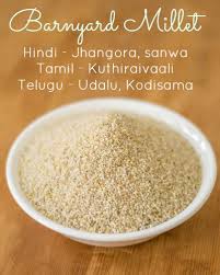Manufacturers Exporters and Wholesale Suppliers of Barnyard Millet( Botanical Name- Crasgalliver-Frumenta-Cum) Dindigul Tamil Nadu
