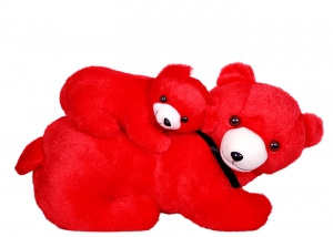 Manufacturers Exporters and Wholesale Suppliers of BEAR BABY Shahdara Delhi
