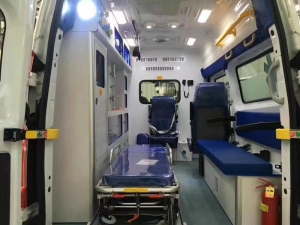 Service Provider of Basic Life Support Ambulance Services New Delhi Delhi 