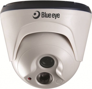 Manufacturers Exporters and Wholesale Suppliers of Blue Eye CCTV New Delhi Delhi