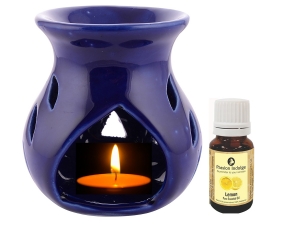 Manufacturers Exporters and Wholesale Suppliers of Traditional Diffuser with Essential Oil Mumbai Maharashtra