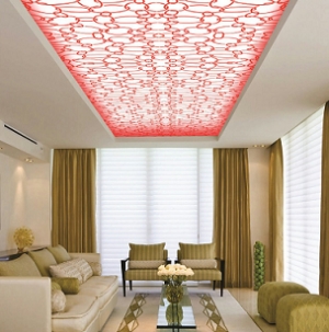 Manufacturers Exporters and Wholesale Suppliers of CEILING PLANS Dehradun Uttarakhand