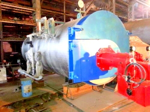 Manufacturers Exporters and Wholesale Suppliers of CNG Fired Steam Boiler New Delhi Delhi